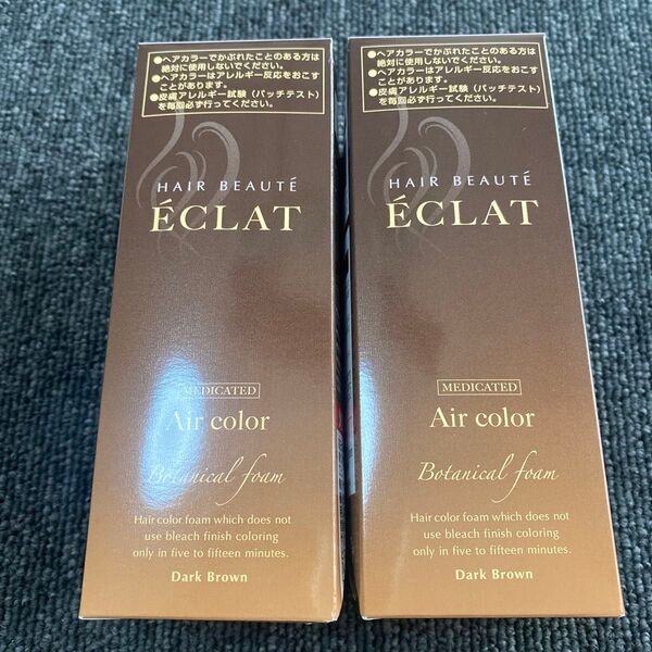 フューチャーラボ ヘアボーテ エクラ ボタニカル エアカラーフォーム ダークブラウン 80g 2本セット