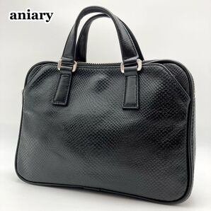 【美品】aniary アニアリ ミニブリーフケース ハンドバッグ レザー 黒 B5 パイソン柄 2室 仕事&普段使いに 書類鞄