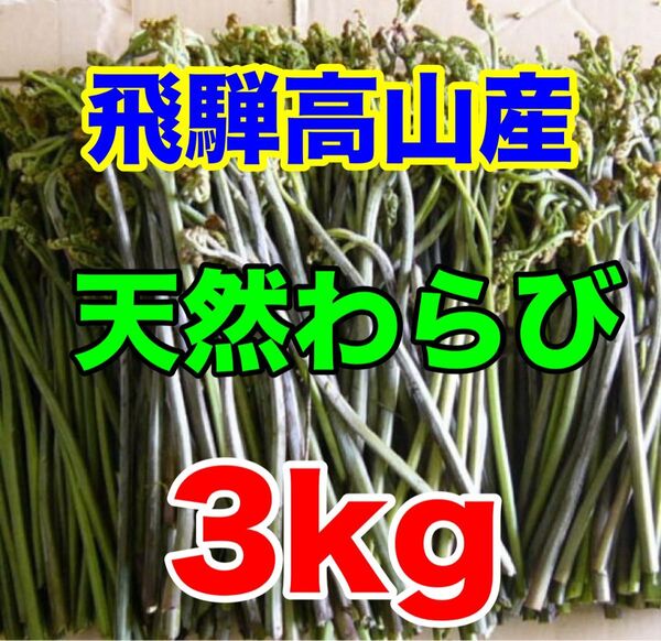 飛騨高山産 天然わらび 3kg