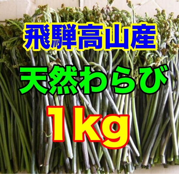 飛騨高山産 天然わらび 1kg