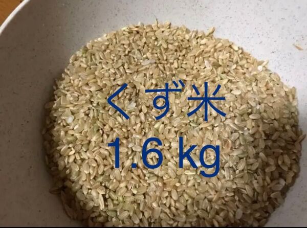【土曜日発送】くず米 1.6kg エサ米 玄米