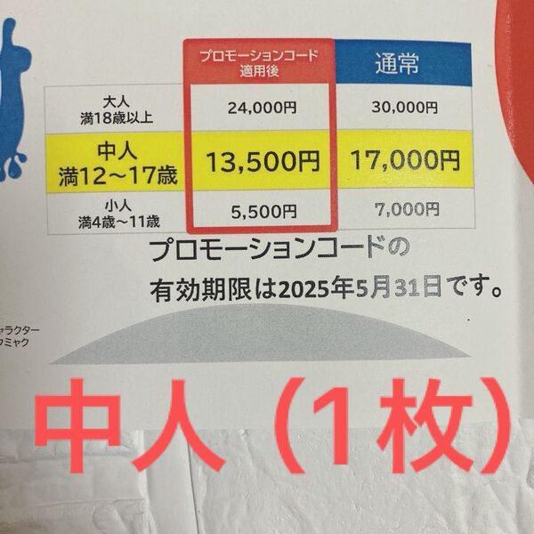 1枚 大阪万博 通期パス(中人)万博 通気パス 割引 コード 中人 12〜17歳用 未使用