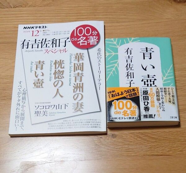 有吉佐和子 青い壺 100分で名著 2冊セット