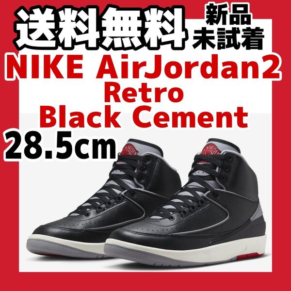 28.5cm Nike Air Jordan 2 Black Cement