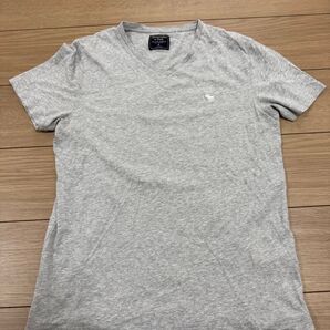 アバクロンビー&フィッチ Tシャツ メンズ