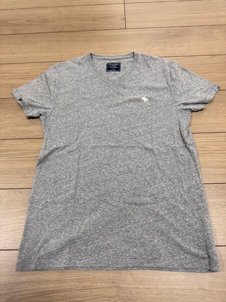 アバクロンビー&フィッチ Tシャツ メンズ
