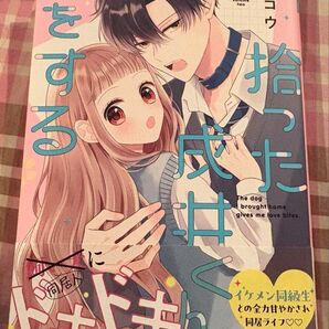 最新刊、拾った戌井くんと恋をする、2巻、行村コウ◇リボンマスコット、当方一読美品、発送遅めです