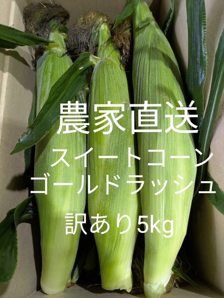 ゴールドラッシュ とうもろこし 訳あり、箱込み約5kgく
