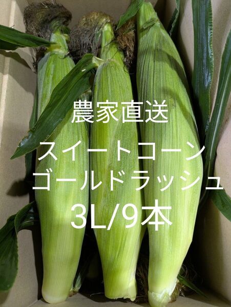 スイートコーン ゴールドラッシュ 農家直送 3L/9本