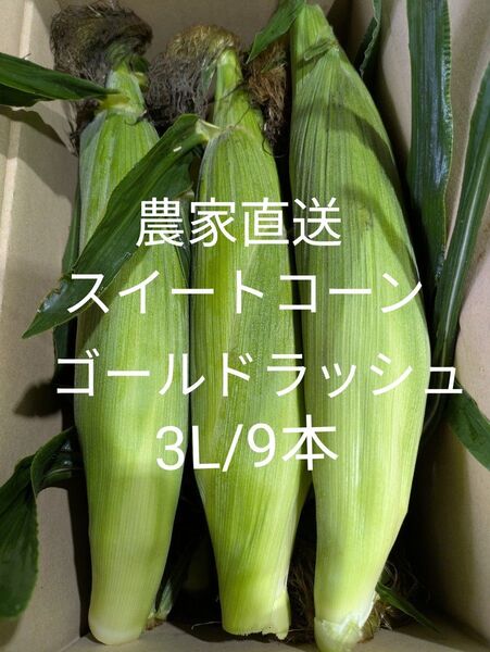 スイートコーン ゴールドラッシュ 農家直送 3L/9本