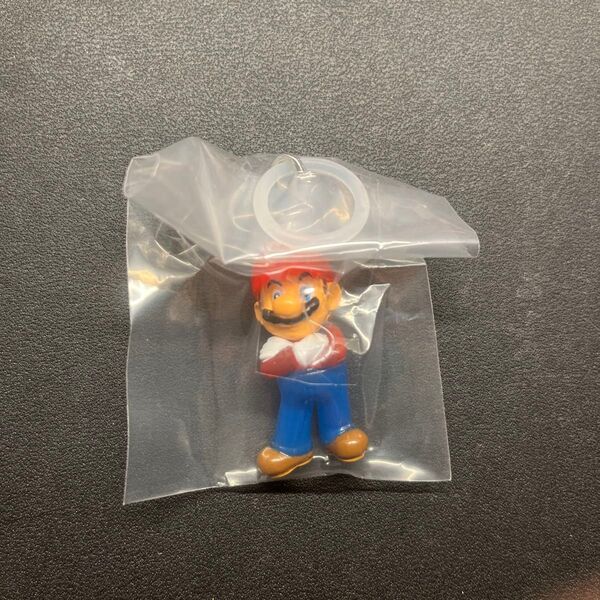 マリオ めじるしアクセサリー