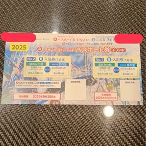 ナガシマスパーランド 湯あみの島 パスポート券 ナガシマスパーランドパスポート 施設利用券