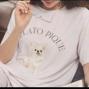 ジェラートピケ DOG柄ワンポイントTシャツ チワワ