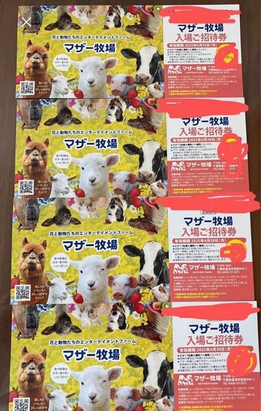 マザー牧場 招待券 4枚