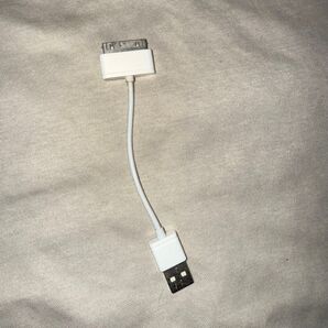 iPod Dock USB-Aケーブル
