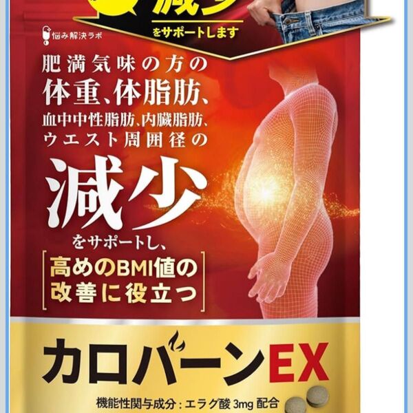 カロバーンEX 30日分