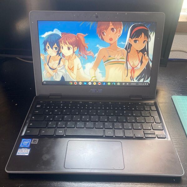 ASUS Chromebook C204Mノートパソコン