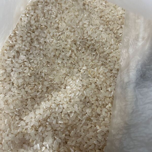 お米 七分精米 1キロ