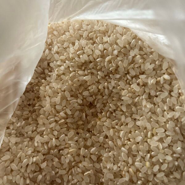 お米 七分胚芽つき 2キロ未満