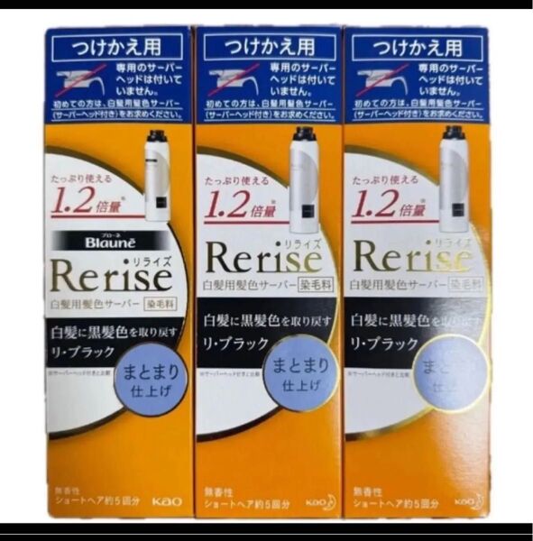新品 花王 Rerise リライズ 白髪用 白髪染めサーバーヘッド つけかえ用 サーバー ブラック 黒 まとまり仕上げ 3