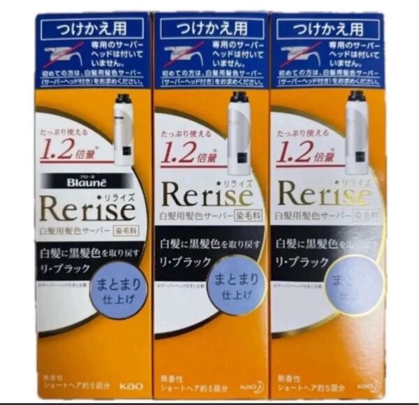 新品 花王 Rerise リライズ 白髪用 白髪染めサーバーヘッド つけかえ用 サーバー ブラック 黒 まとまり仕上げ 3