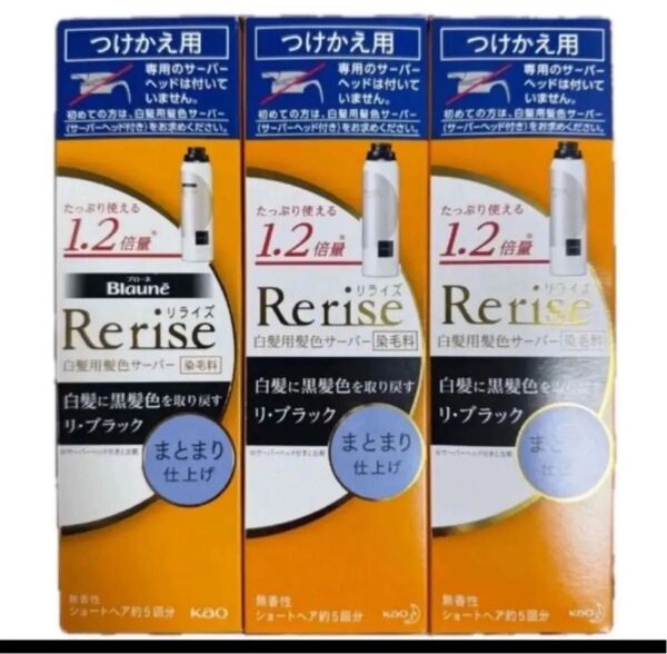 新品 花王 Rerise リライズ 白髪用 白髪染めサーバーヘッド つけかえ用 サーバー ブラック 黒 ヘアカラー まとまり仕上げ