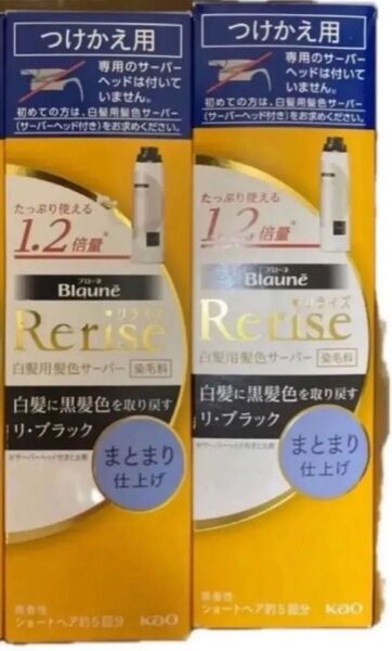 新品 花王 Rerise リライズ 白髪用 白髪染めサーバーヘッド つけかえ用 サーバー ブラック 黒 ヘアカラー まとまり仕上げ