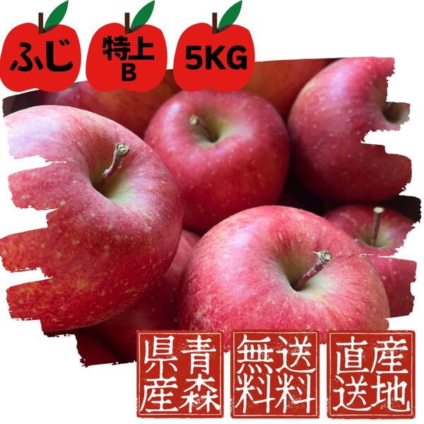 【ふじ】青森県産【特上B】産地直送【5KG】