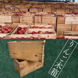 【USED林檎木箱】送料無料【2個】