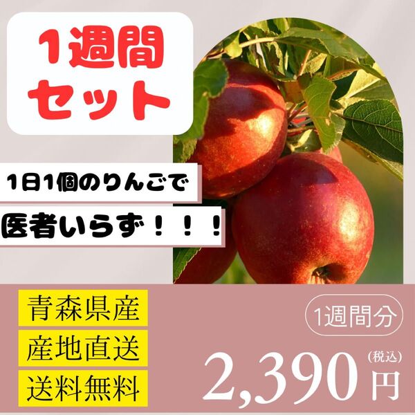 ☆1週間の美容と健康生活☆【ふじ】【特上】【青森県産】【産地直送】【送料無料】