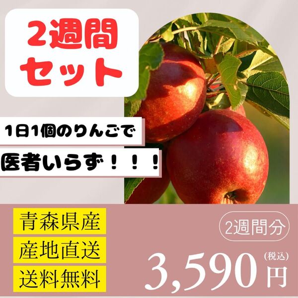 1日限定♪☆2週間の美容と健康生活☆【ふじ】【特上】【青森県産】【産地直送】【送料無料】