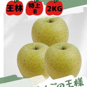 【王林】青森県産【特上B】産地直送【3KG】