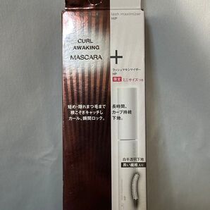 KATE ラッシュマキシマイザーHP マスカラ下地BR-1 数量限定品