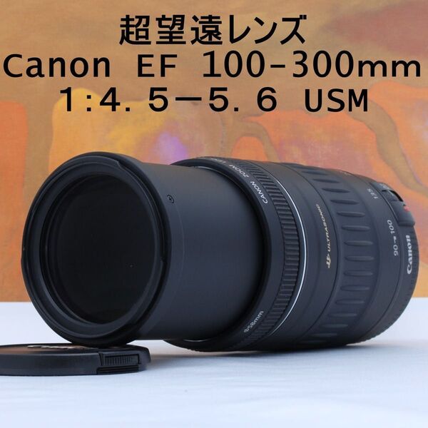 ★超望遠★Canon EF 100-300mm 1:4.5-5.6 USM★
