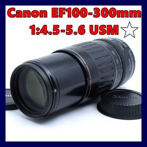 ★大迫力の300mm★Canon EF100-300mm★イベント・スポーツ・趣味の撮影に!★