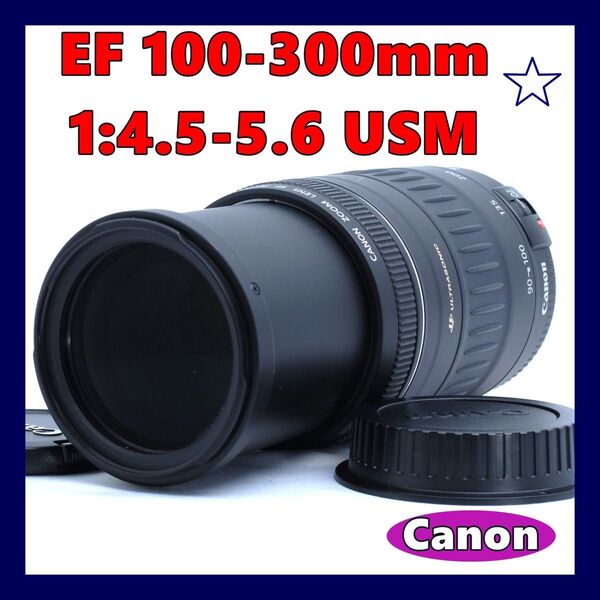 ★超望遠★Canon EF 100-300mm 1:4.5-5.6 USM★