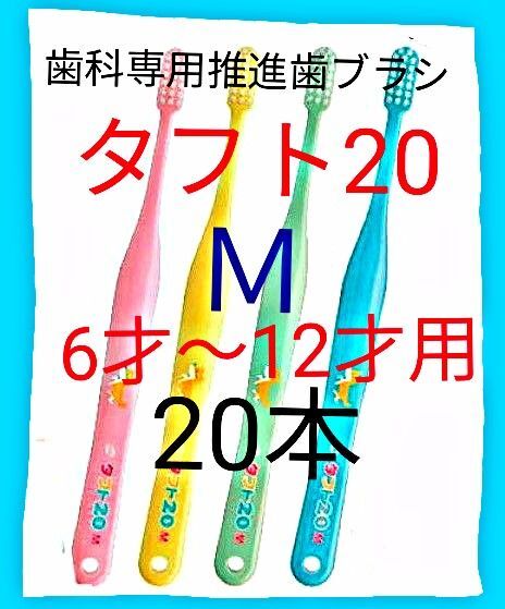 タフト20 M 20本 6才~12才用 お値引中 ! 歯科専用推進歯ブラシ※ クーポンを使って更にお買得に ! ※