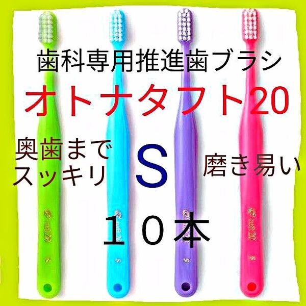 オトナタフト20 S 10本 お口の小さい人・奥歯までしっかり磨く用 ※クーポン使って更にお買得に! 歯科医院専用歯ブラシ