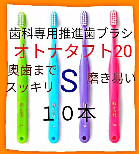 オトナタフト20 S 10本 お口の小さい人・奥歯までしっかり磨く用 ※クーポン使って更にお買得に! 歯科医院専用歯ブラシ
