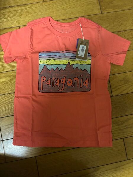 patagonia パタゴニア ベビー フィッツロイ スカイズTシャツ キッズ 4T 新品未使用