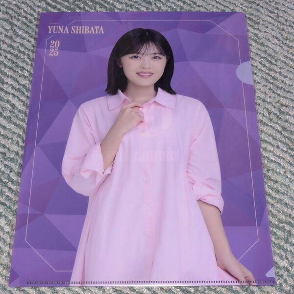 【未開封】乃木坂46 柴田柚菜 クリアファイル