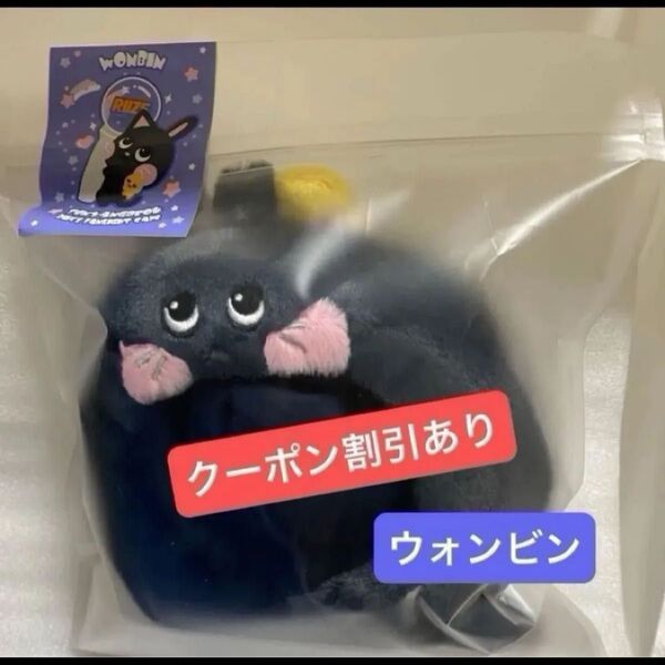 RIIZE ウォンビン ファンライトカバー ペンライトカバー ソウル アンコングッズ
