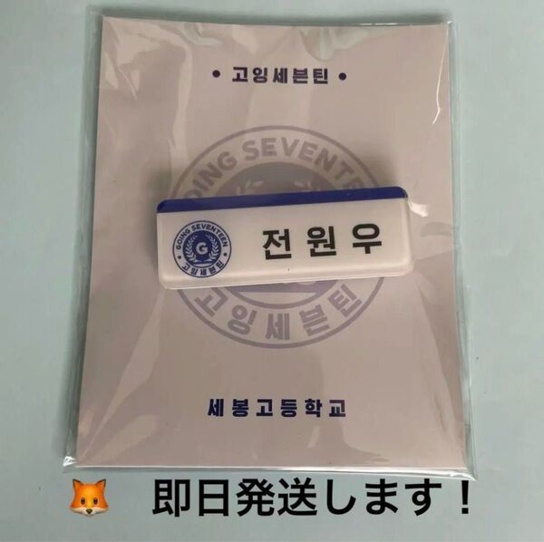 SEVENTEEN ネームタグ ウォヌ セブチ ゴセ 名札 マグネット