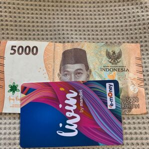 インドネシアemoneyカード