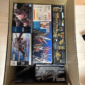 ガンプラ HGズゴック キャバリアーアイフリッド RGアカツキ HGデスティニー エコプラ