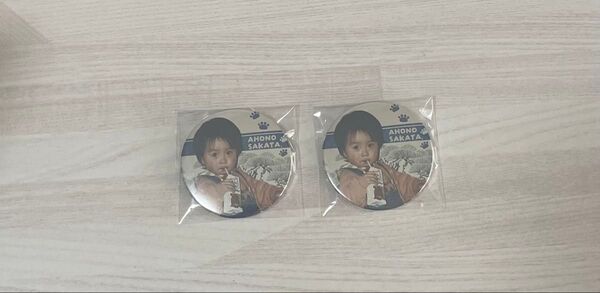 浦島坂田船 となりの坂田 あほの坂田 さかわん HERO 缶バ シクレ シークレット