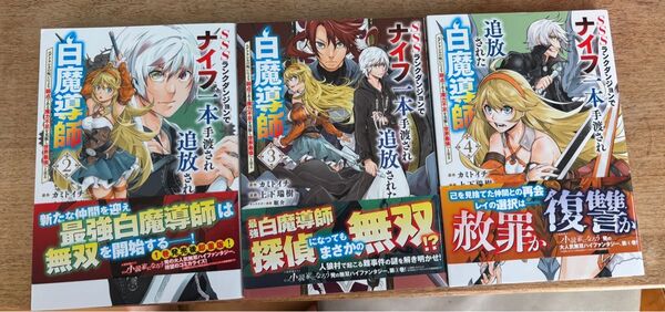 SSSランクダンジョンでナイフ一本手渡され追放された白魔導師 2〜4
