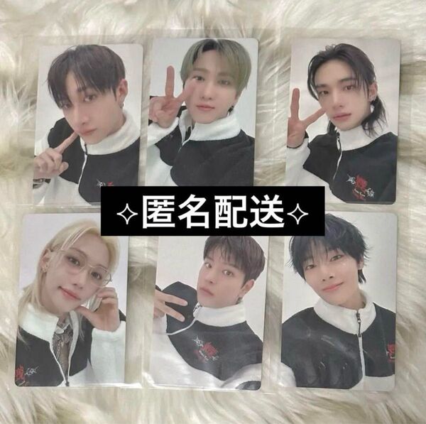 Stray Kids スキズ GIANT 東京会場限定トレカ セット