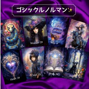 ゴシックルノルマンカード レア 美麗 51枚セット