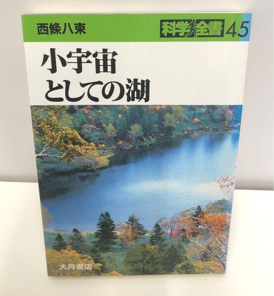 小宇宙としての湖 西條八束 科学全書45